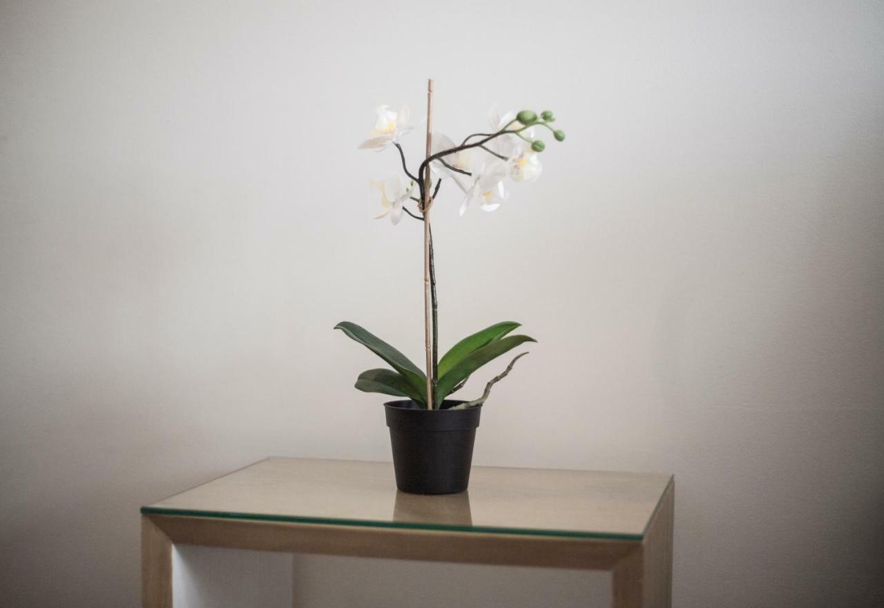 Elegant Retreat Business District Bernabeu Apartment Madrid Ngoại thất bức ảnh